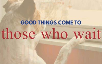 Episode 137 – Good Things Come to Those Who Wait